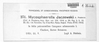 Mycosphaerella jaczewskii image